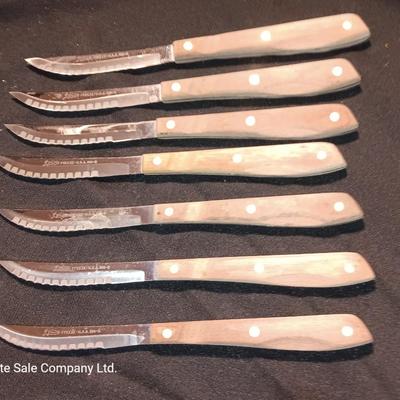 Blue enamelware dish with a set of vintage Zylco Freeze knives in a hanging bakelite case