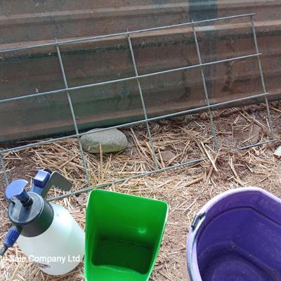 Feeders, spray bottles, show sticks and other items for pig / swine showing. 4-H