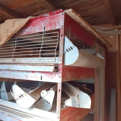 Metal chicken brooder with all the feeders