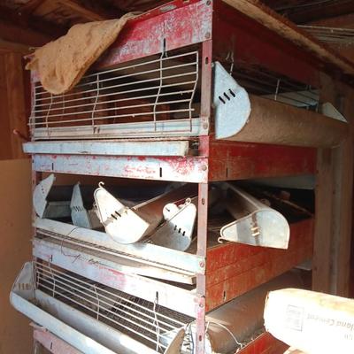 Metal chicken brooder with all the feeders