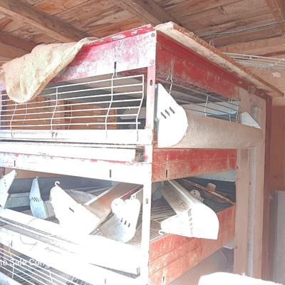 Metal chicken brooder with all the feeders