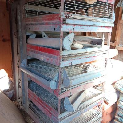 Metal chicken brooder with all the feeders