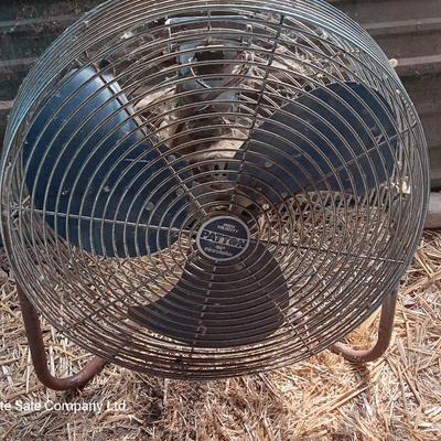 Two metal guard steel framed free standing electric fans
