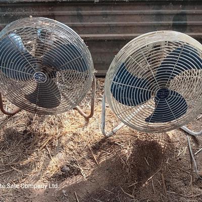 Two metal guard steel framed free standing electric fans