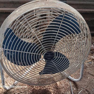 Two metal guard steel framed free standing electric fans