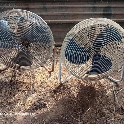 Two metal guard steel framed free standing electric fans