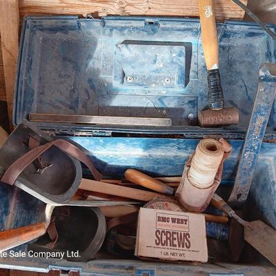 Blue plastic toolbox with an assortment of tools
