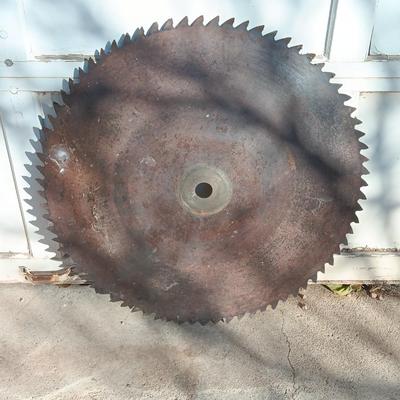 27-inch antique saw blade