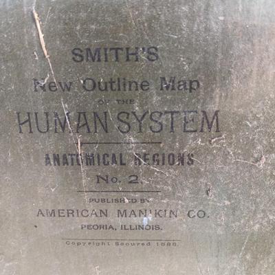 19th Century Medical Teaching Device antique chalk board and wooden folding chair