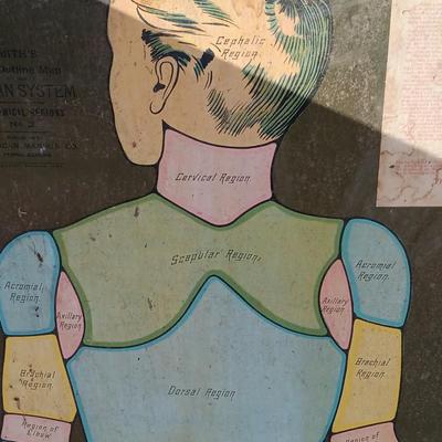 19th Century Medical Teaching Device antique chalk board and wooden folding chair