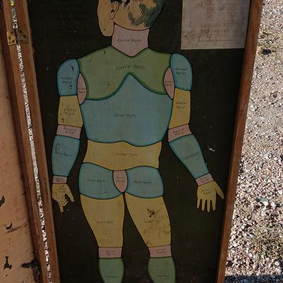 19th Century Medical Teaching Device antique chalk board and wooden folding chair