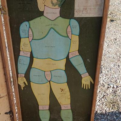 19th Century Medical Teaching Device antique chalk board and wooden folding chair