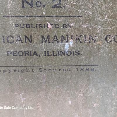 19th Century Medical Teaching Device antique chalk board and wooden folding chair