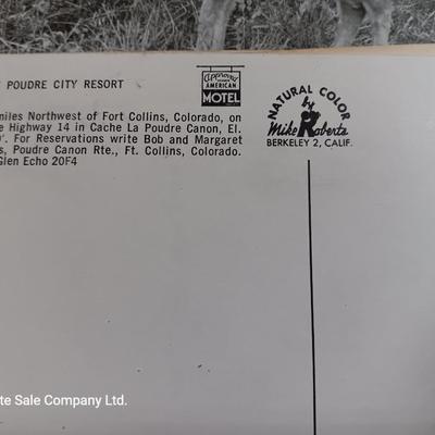 Collection of Vintage wildlife post cards