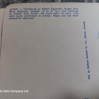 Collection of Vintage wildlife post cards