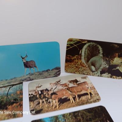 Collection of Vintage wildlife post cards