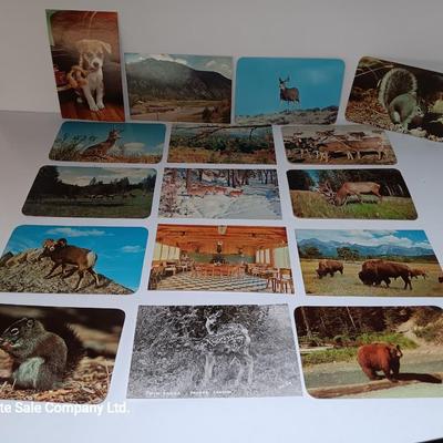 Collection of Vintage wildlife post cards