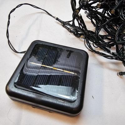 Christmas Wreaths,  Topiaries, Light Sets & More  (S1-JS)