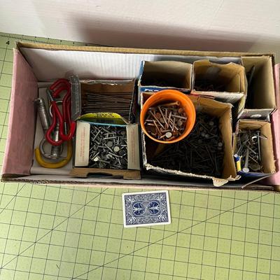 Nail Assortment Bundle