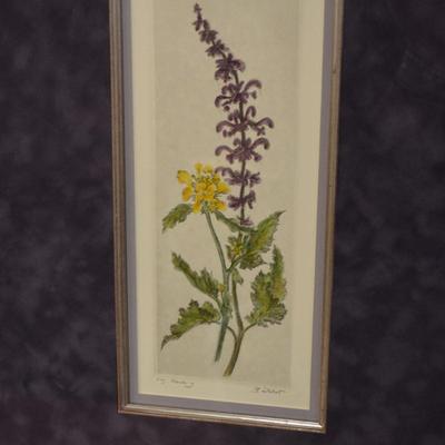 Beautiful Framed & Matted Salvia Watercolor Original, Signed