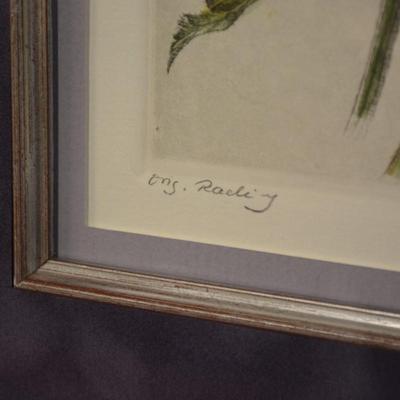 Beautiful Framed & Matted Salvia Watercolor Original, Signed