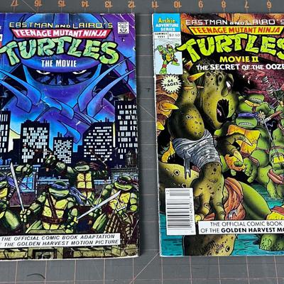 Teenage Mutant Ninja Turtle 1990 and 1991