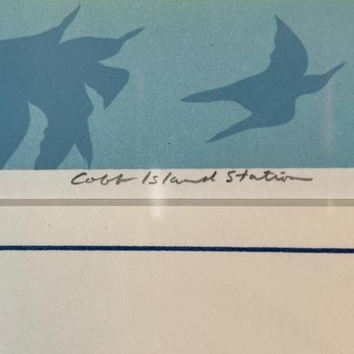 Framed Numbered Signed Lithograph â€œCobb Island Stationâ€