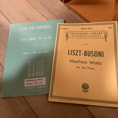 Large Classical Music Collection incl. CDs, Books, Records, & CD Rack (BO-HS)