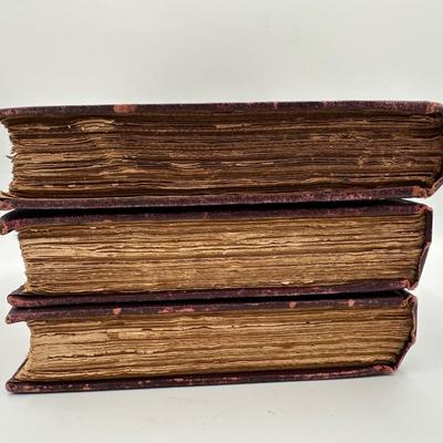 The Rise of Dutch Republic Three (3) Volume Set, 1883.