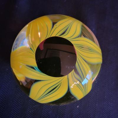 Six Decorative Glass Paperweights (DR-DW)