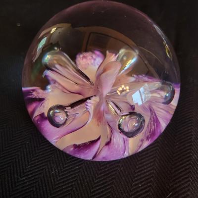 Six Decorative Glass Paperweights (DR-DW)