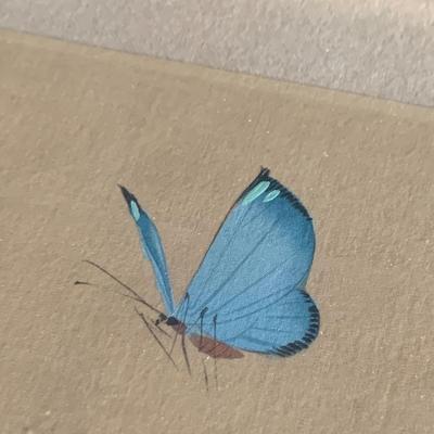 Hand Painted Asian Silk Flower Art (LR-HS)