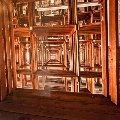 â€œThe Matrixâ€ Signed Photograph by Walter Arnold (UO-HS)