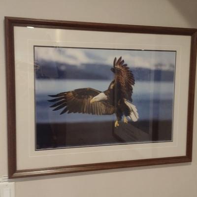 Framed Art Print Eagle in Flight