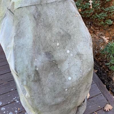 Weber Propane Grill w/ Accessories (BP-HS)