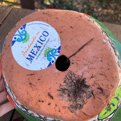 Colorful Hand Made Mexican Flower Pots & More (BP-HS)
