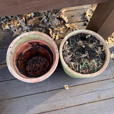 Large Planters plus Plant Watering Globes & More (BP-HS)