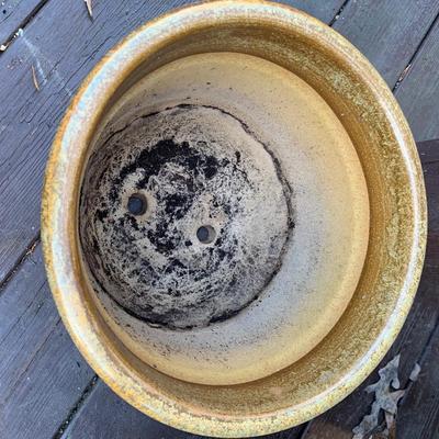 Large Planters plus Plant Watering Globes & More (BP-HS)