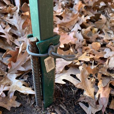 Four Hanger Shepherd Hook plus Solar Lights (BP-HS)