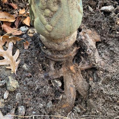 Metal Bird Bath (BP-HS)