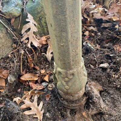 Metal Bird Bath (BP-HS)