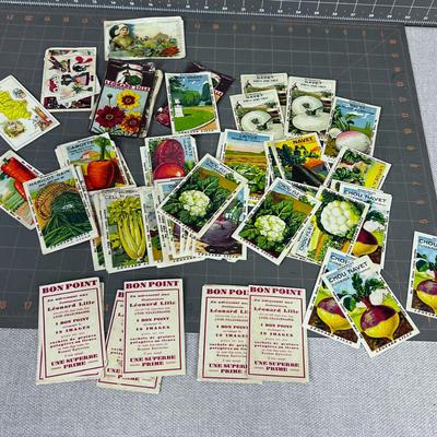 Awesome FRENCH SEED Trading Cards