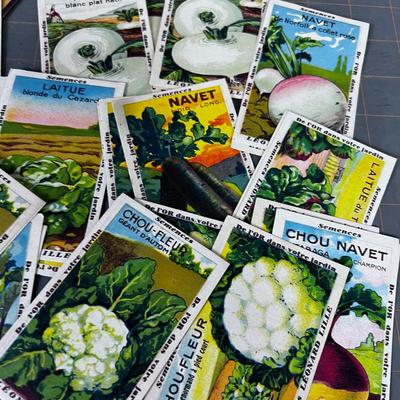 Awesome FRENCH SEED Trading Cards