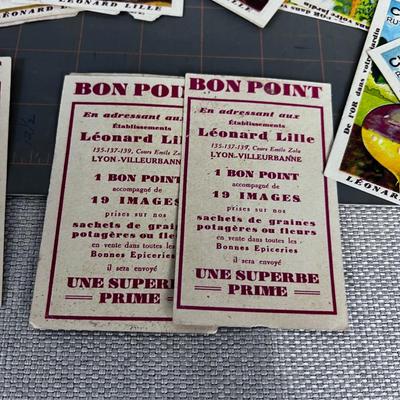 Awesome FRENCH SEED Trading Cards