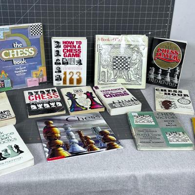 Pile OF BOOKS on CHESS