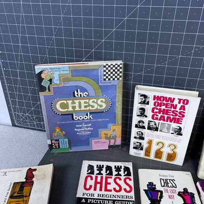 Pile OF BOOKS on CHESS