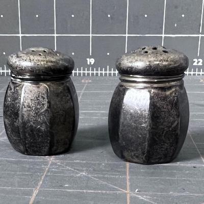 Salt & Pepper Shakers