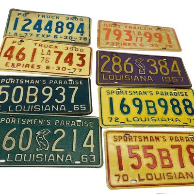 License Plate Lot~ 21