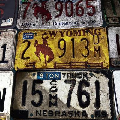 VINTAGE LICENSE PLATES
