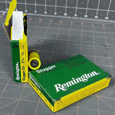 9 Remington 20 Gauge Slugs 
